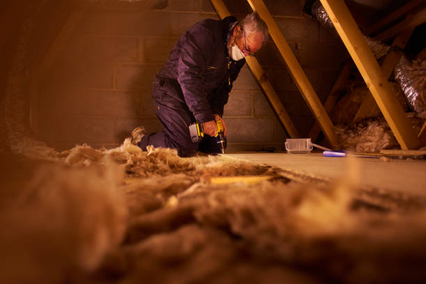 Best Attic Insulation Installation  in Wmette, IL